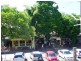 10 Macrossan St, Port Douglas QLD 4877
