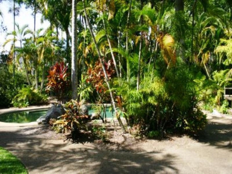 5/3 Morning Close, Port Douglas QLD 4877