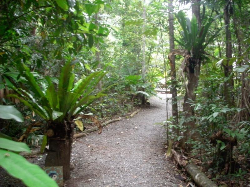 Daintree QLD 4873