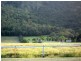 7 Captain Cook Highway, Craiglie QLD 4877
