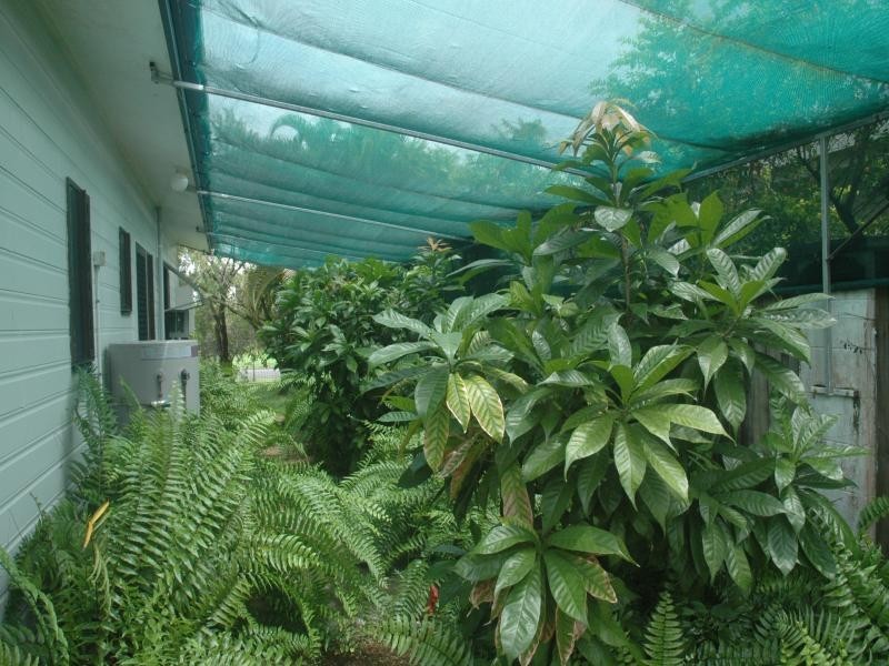 6 Janbal, Wonga QLD 4873