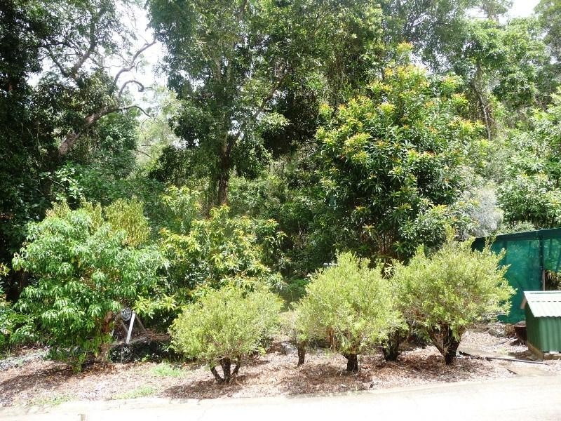 85-87 REYNOLDS ROAD, Port Douglas QLD 4877