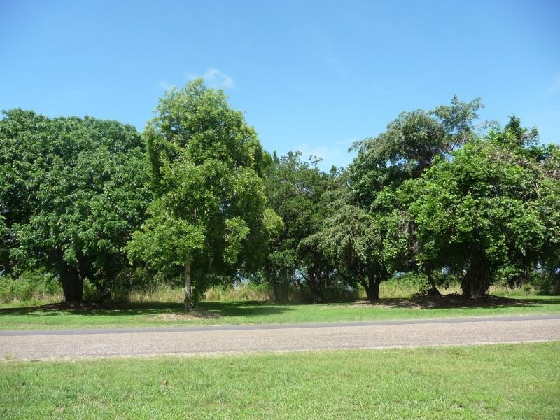 37 Bougainvillea St, Cooya Beach QLD 4873