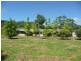 Lot 27 Buchanan Creek Road, Daintree QLD 4873