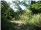 Lot 34 Cape Tribulation Rd, Daintree QLD 4873