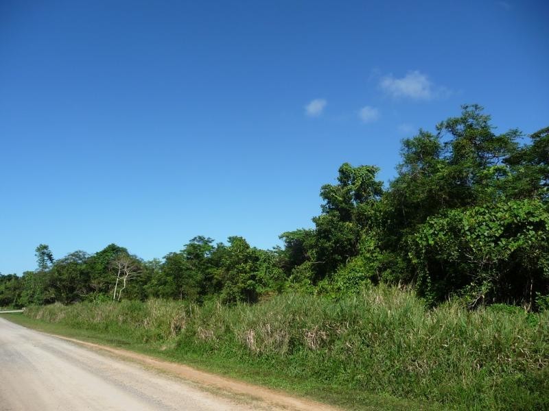 Lot 34 Cape Tribulation Rd, Daintree QLD 4873