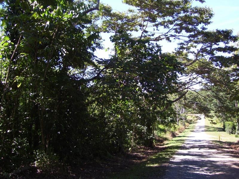 Lot 34 Cape Tribulation Rd, Daintree QLD 4873