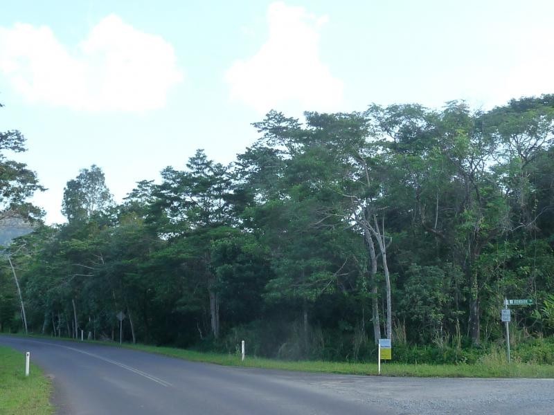Lot 34 Cape Tribulation Rd, Daintree QLD 4873