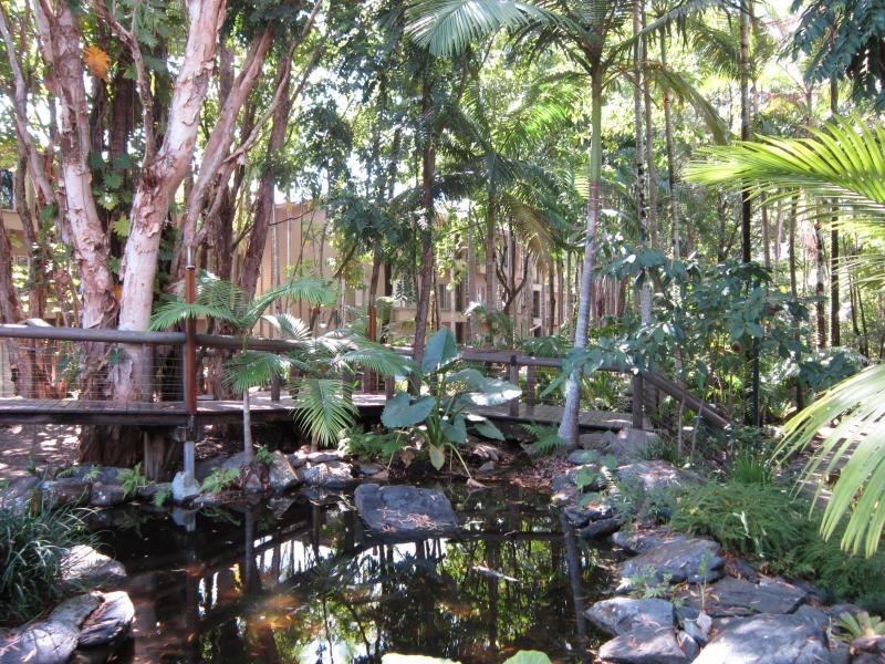 D138/316 Port Douglas Road, Port Douglas QLD 4877