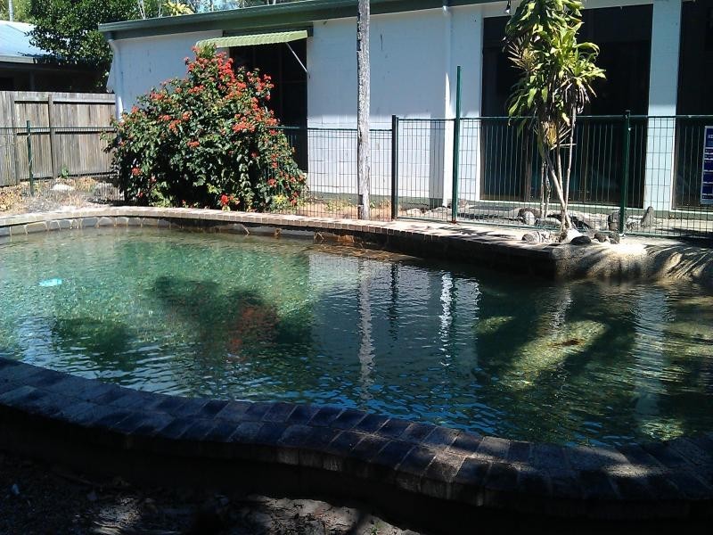 45 Pectan Ave, Port Douglas QLD 4877