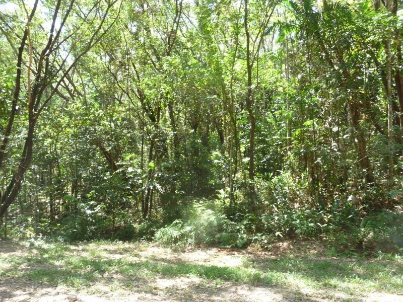 Lot 66 George Rd, Daintree QLD 4873