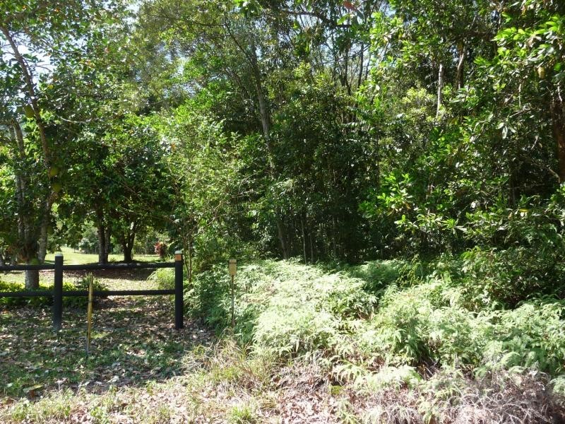 Lot 66 George Rd, Daintree QLD 4873