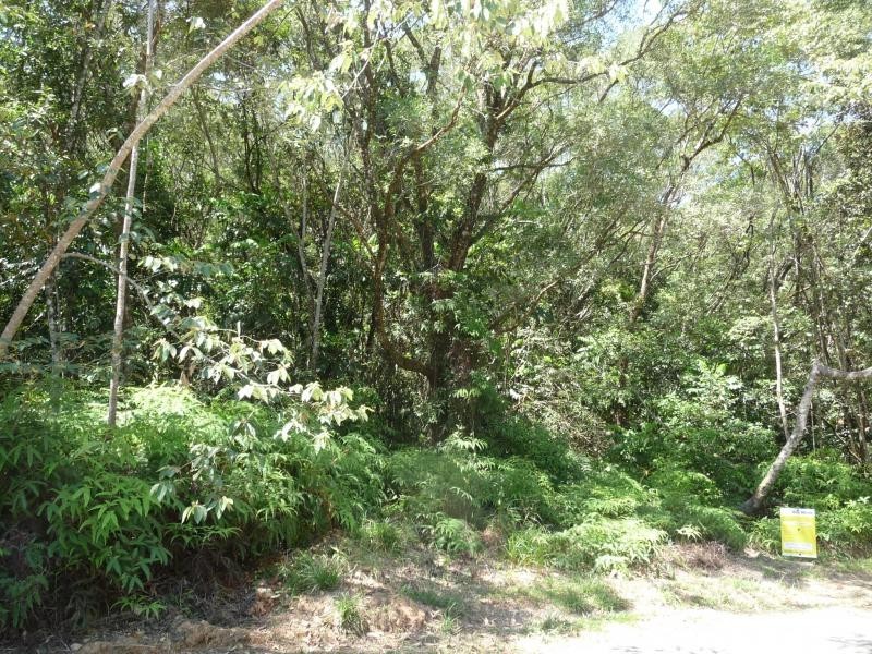 Lot 66 George Rd, Daintree QLD 4873