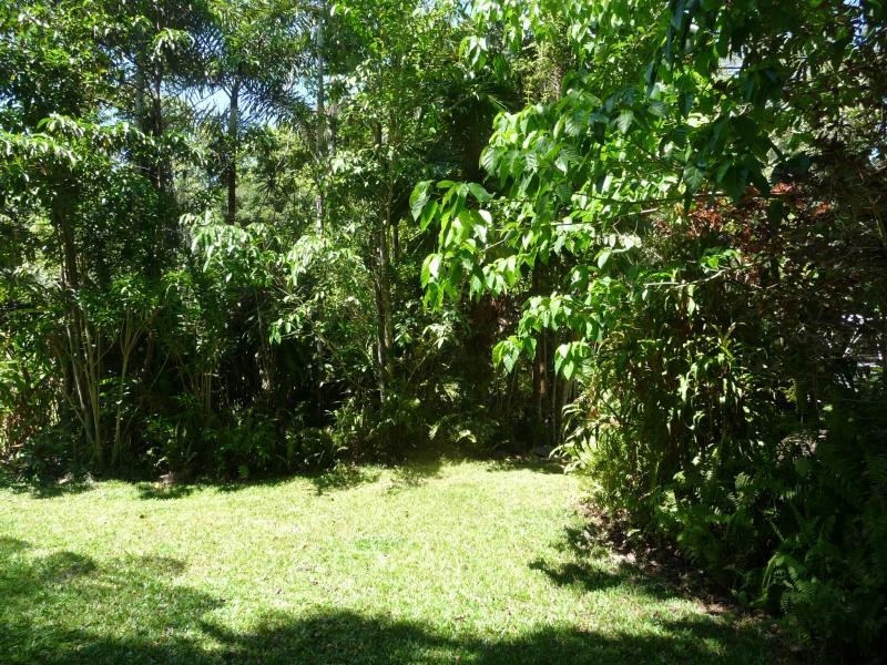 Lot 343 Fig Tree Rd, Daintree QLD 4873