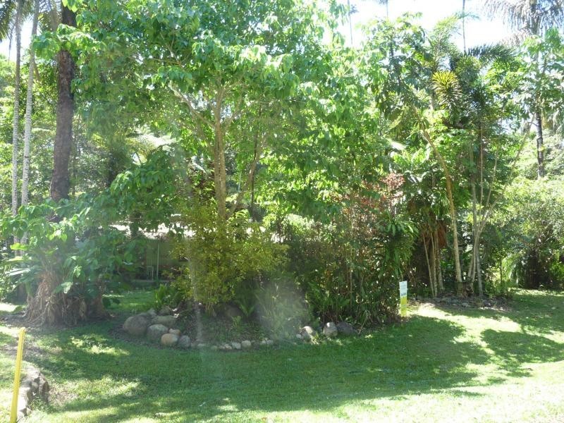 Lot 343 Fig Tree Rd, Daintree QLD 4873