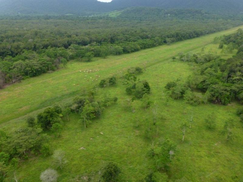 Lot 551 Cape Trbulation Rd, Daintree QLD 4873