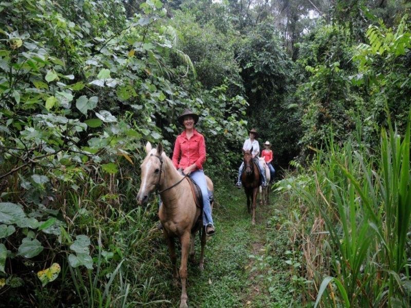 Lot 551 Cape Trbulation Rd, Daintree QLD 4873
