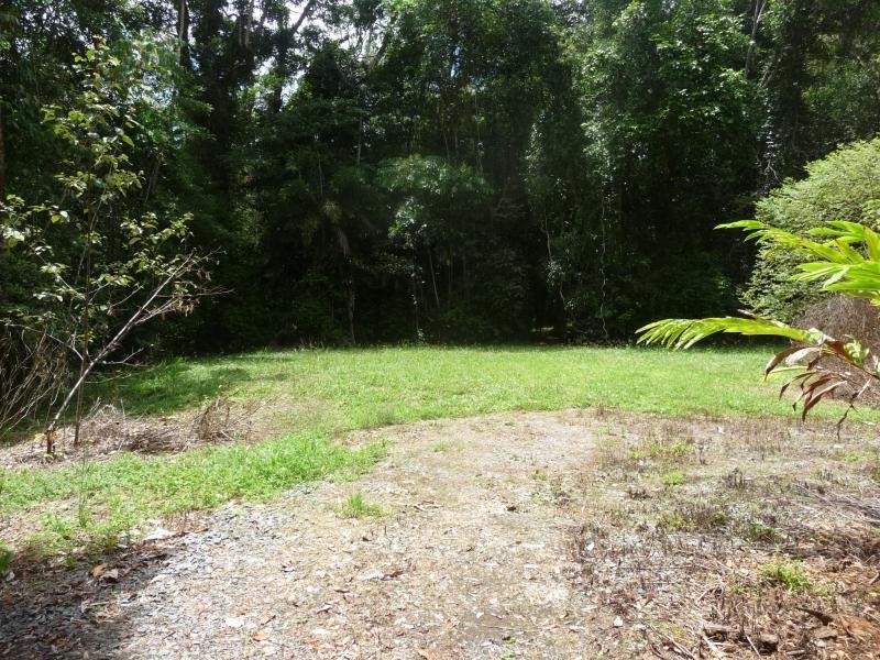Lot 342 Fig Tree Rd, Daintree QLD 4873