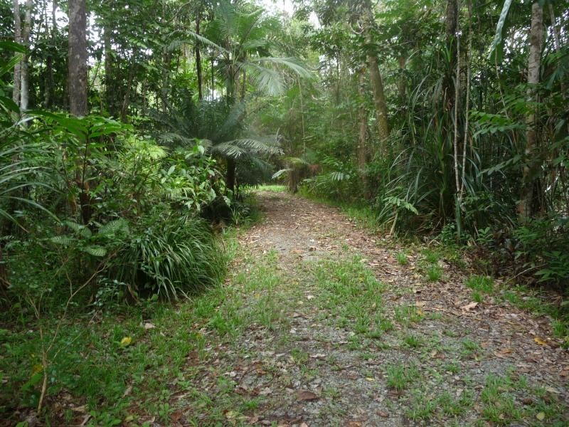 Lot 342 Fig Tree Rd, Daintree QLD 4873