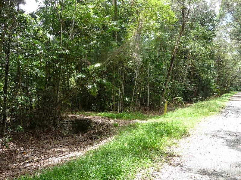 Lot 342 Fig Tree Rd, Daintree QLD 4873