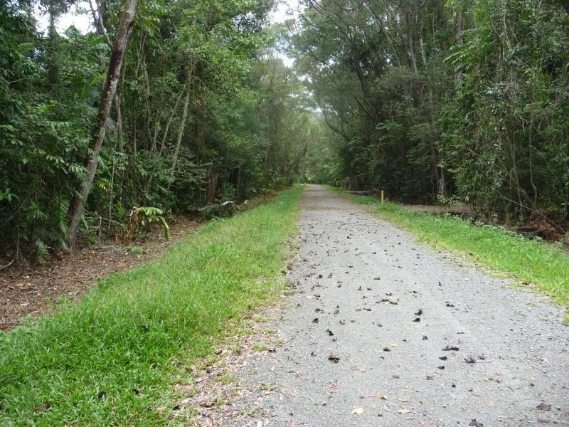 Lot 342 Fig Tree Rd, Daintree QLD 4873