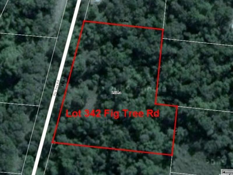 Lot 342 Fig Tree Rd, Daintree QLD 4873
