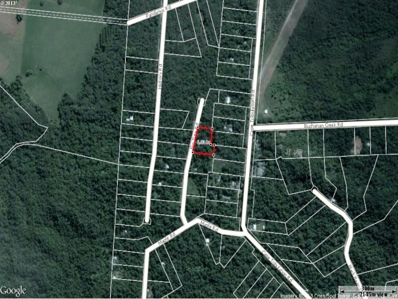 Lot 342 Fig Tree Rd, Daintree QLD 4873