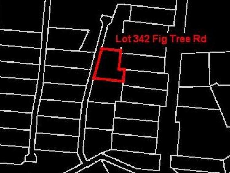 Lot 342 Fig Tree Rd, Daintree QLD 4873