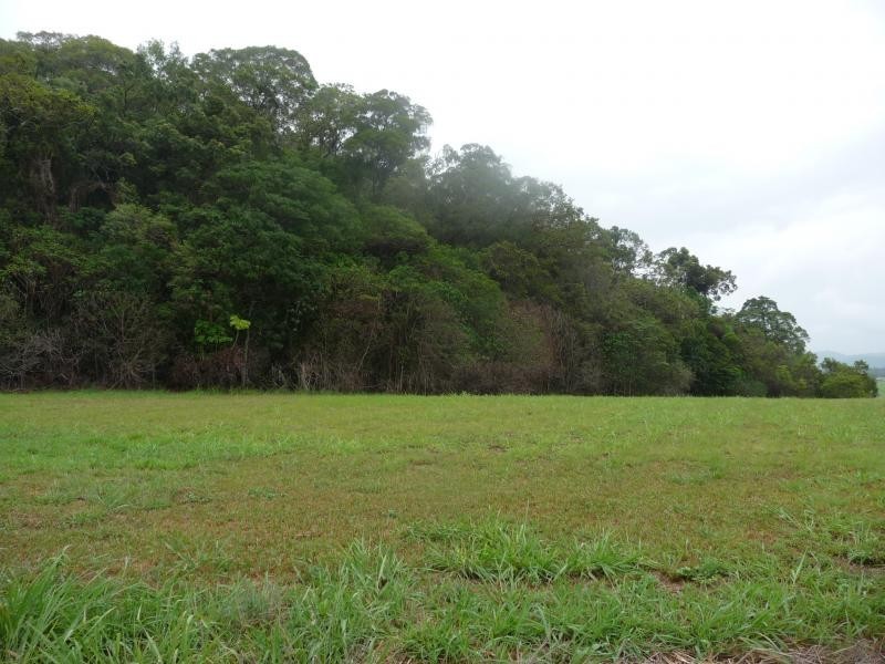 Lot 1  Dagmar Close, Lower Daintree QLD 4873