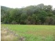 Lot 1  Dagmar Close, Lower Daintree QLD 4873