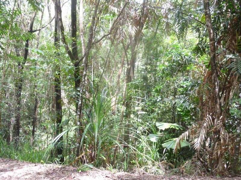 Lots 16,17,18 Forest Cl, Daintree QLD 4873