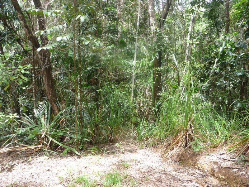 Lots 16,17,18 Forest Cl, Daintree QLD 4873