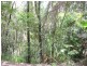 Lots 16,17,18 Forest Cl, Daintree QLD 4873