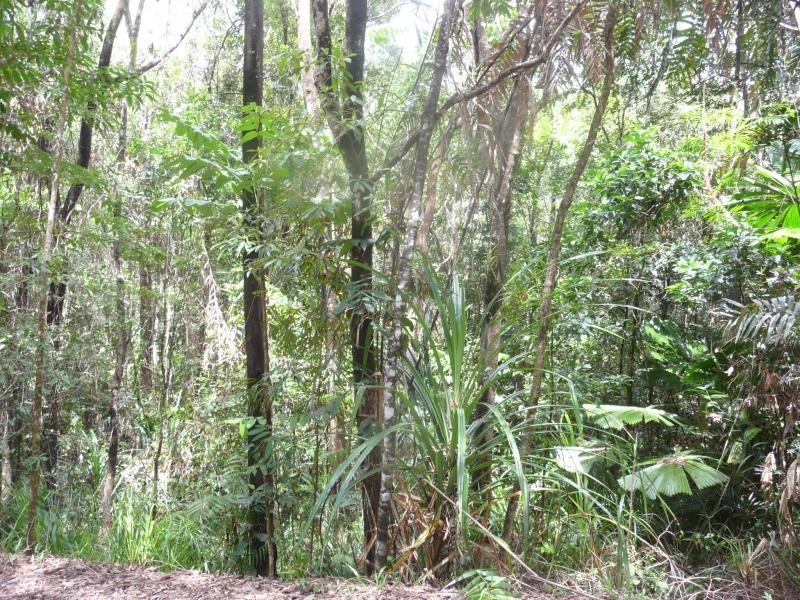 Lots 16,17,18 Forest Cl, Daintree QLD 4873