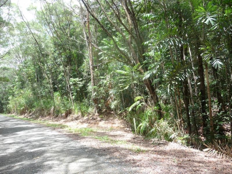 Lots 16,17,18 Forest Cl, Daintree QLD 4873
