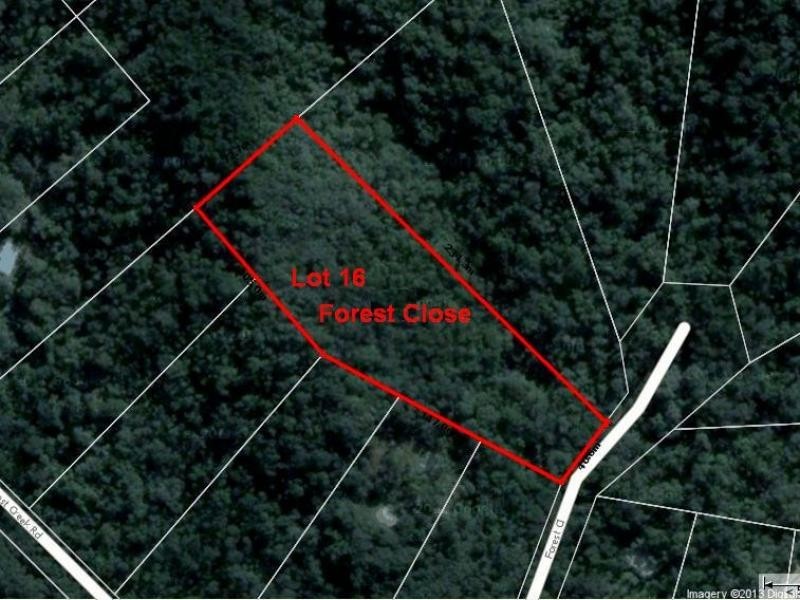 Lots 16,17,18 Forest Cl, Daintree QLD 4873
