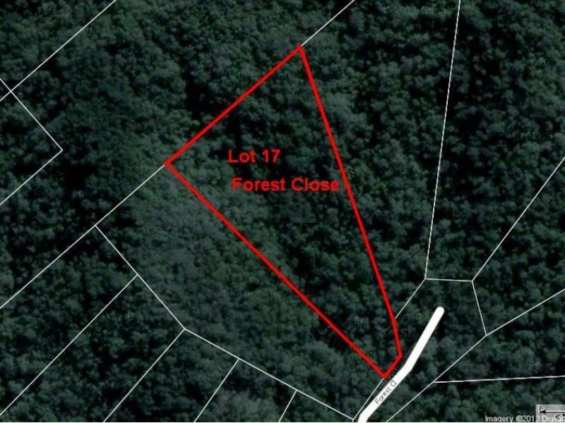 Lots 16,17,18 Forest Cl, Daintree QLD 4873