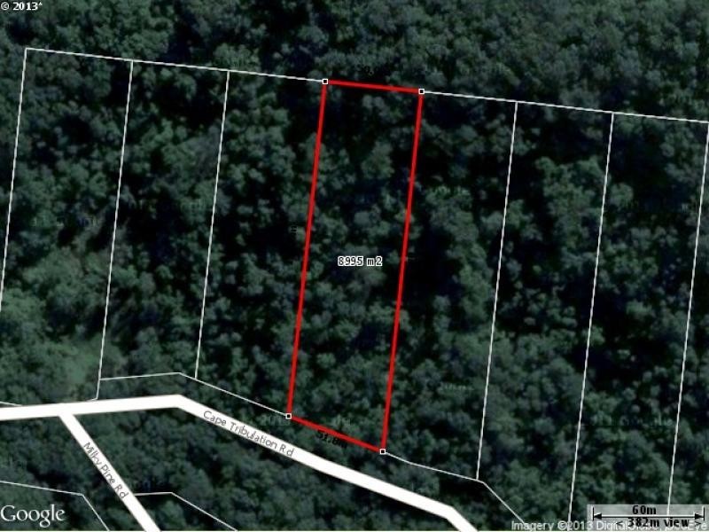 Lot 17 Cape Tribulation Road, Daintree QLD 4873