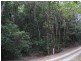 Lot 17 Cape Tribulation Road, Daintree QLD 4873