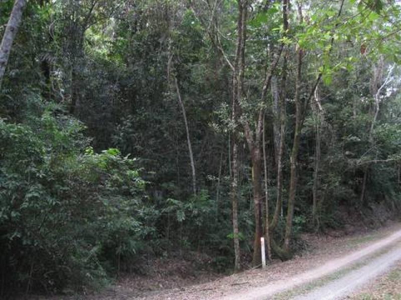 Lot 17 Cape Tribulation Road, Daintree QLD 4873