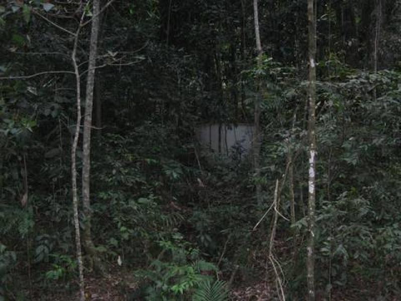 Lot 17 Cape Tribulation Road, Daintree QLD 4873