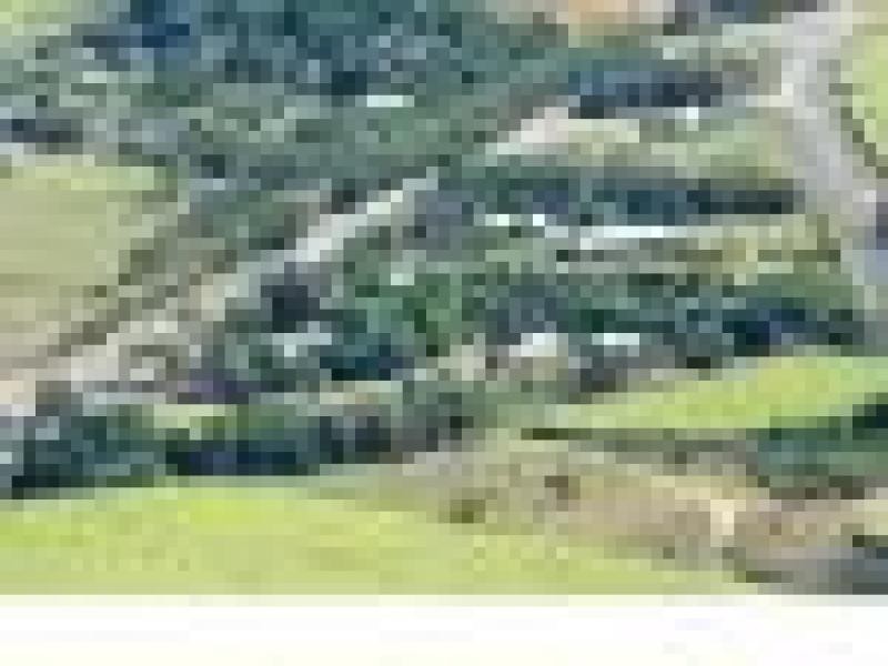 5 Mowbray River Rd, Mowbray QLD 4877