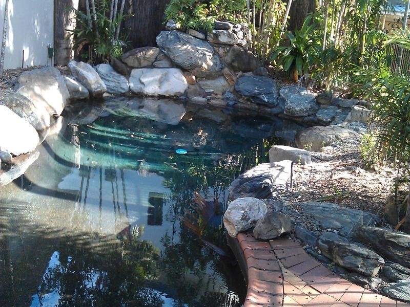 9 Trochus Cl, Port Douglas QLD 4877