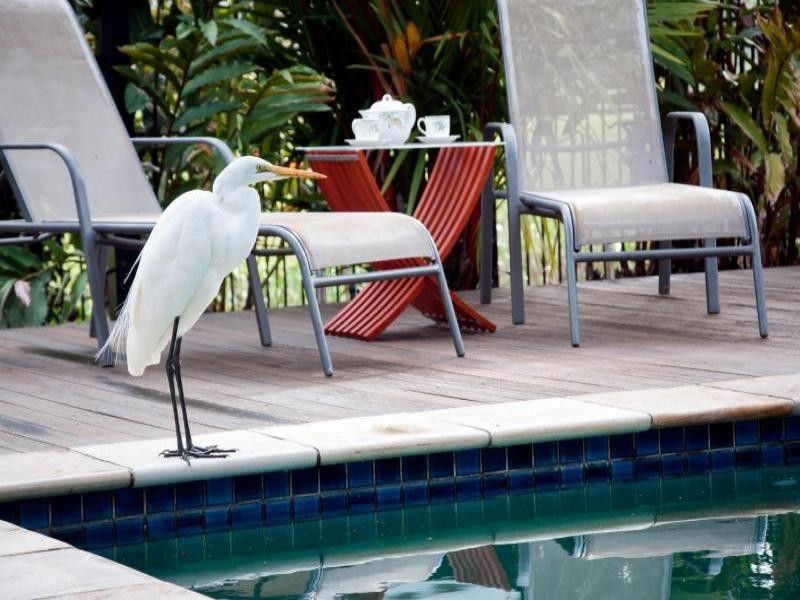 91  Mitre Street, Port Douglas QLD 4877