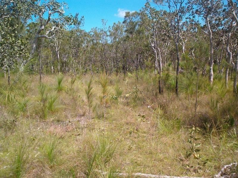 Julatten QLD 4871