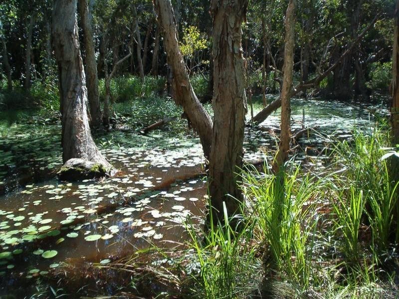 Julatten QLD 4871