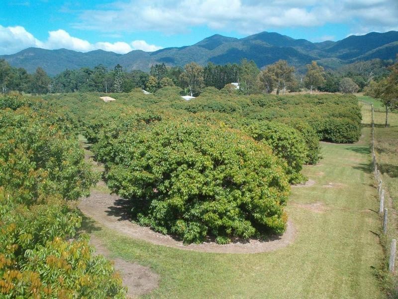 Julatten QLD 4871