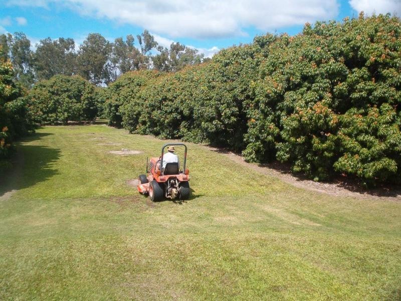 Julatten QLD 4871