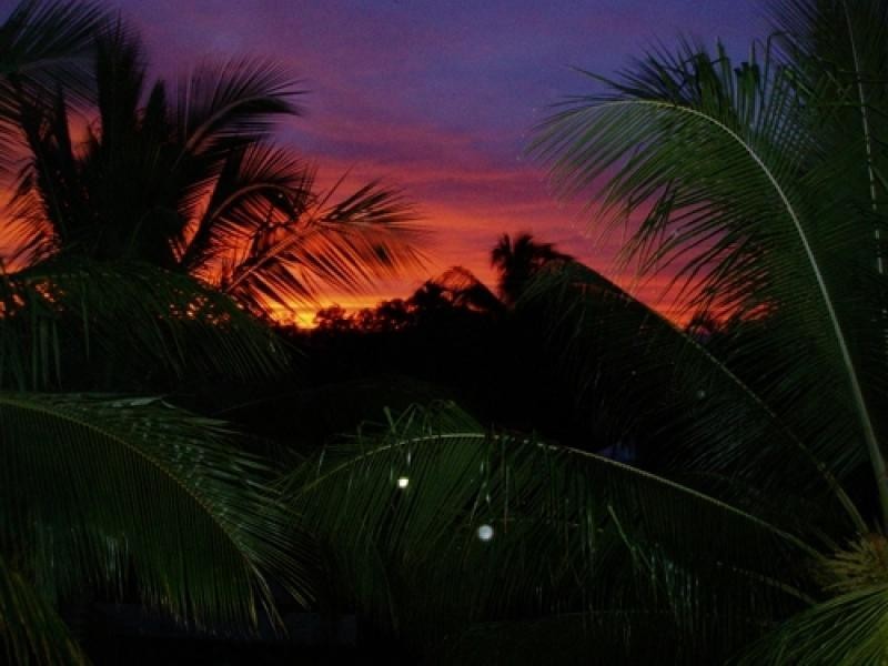 Port Douglas QLD 4877