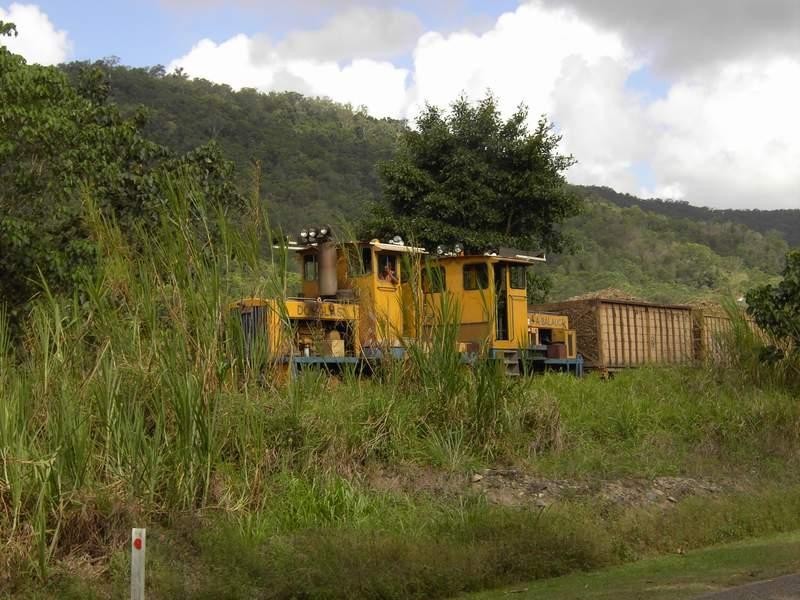 Cassowary QLD 4873